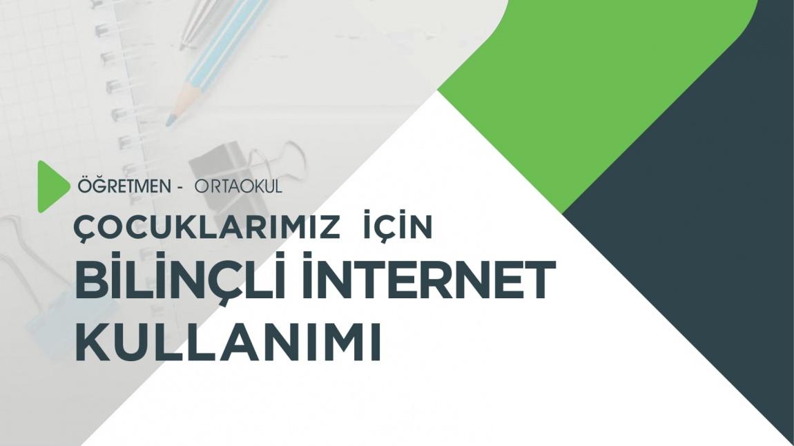 ÖĞRETMEN İNTERNET KULLANIMI